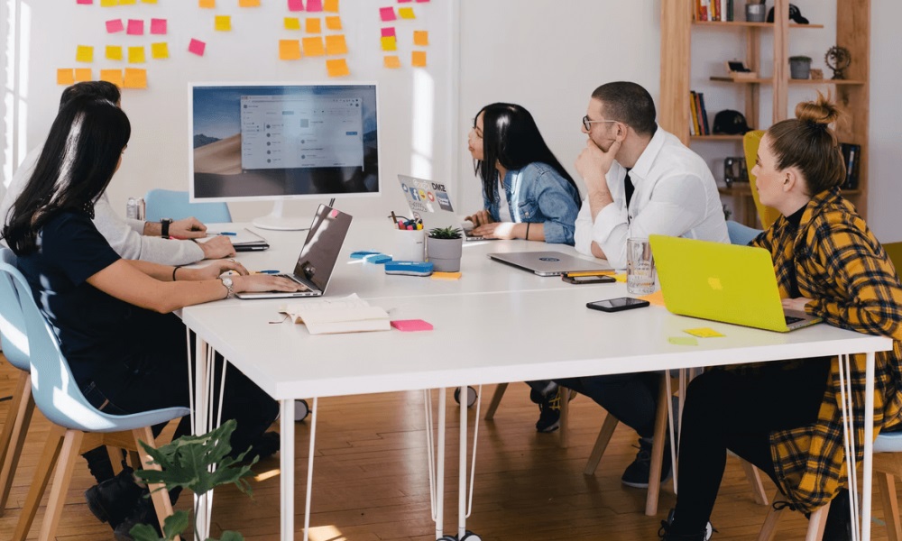 How to Market Your Pest Control Company Online and Offline? Market Your Pest Control Company Online and Offline